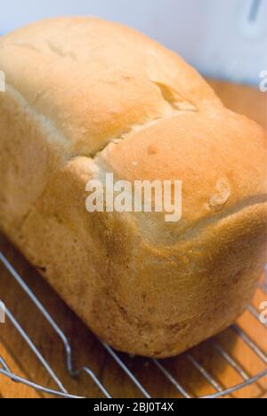 Freshly baked white loaf rack cooling on wire rack - Stock Photo
