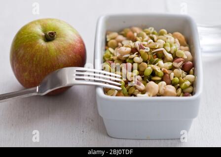 Light lunch of mixed sprouted seeds and pulses, dressed in rice vinegar with an apple - Stock Photo