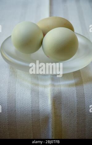Free range eggs - named varieties - Cotswold Legbar - Stock Photo