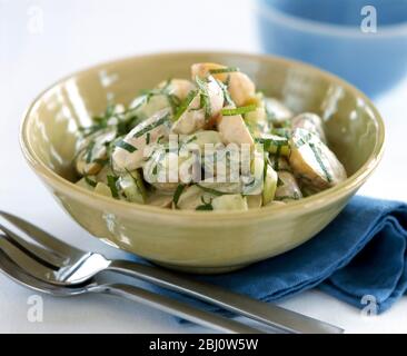 Baby new potatoes in creamy mayonnaise dressing with strips of fresh mint - Stock Photo