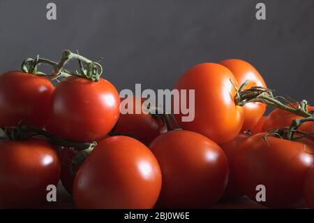 Pile of fresh red tomatoes on the vine - Stock Photo