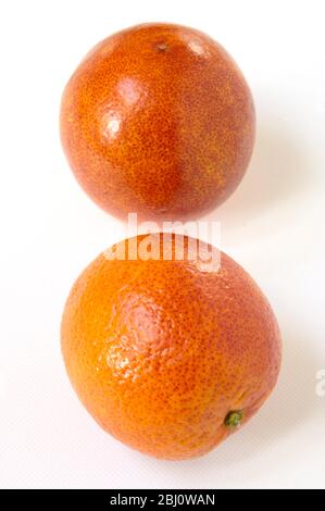 Blood oranges on white background - Stock Photo