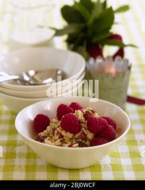 Breakfast of homemade granola with fresh raspberries on lime green gingham tablecloth - Stock Photo