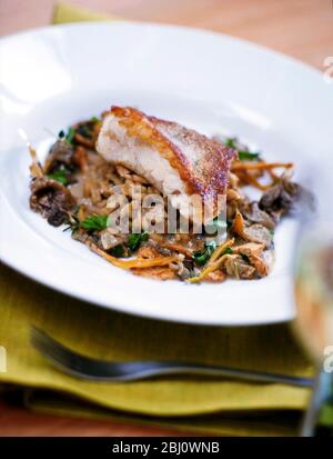 Pan fried fish on bed of wild mushroom risotto - Stock Photo