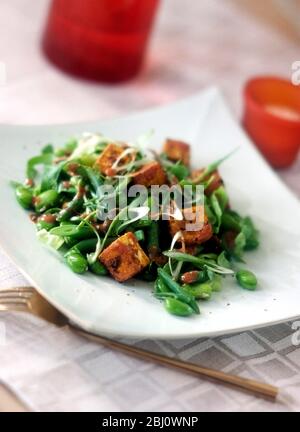 Vegetarian salad of stir fried tofu with broad beans, french beans, spring onions, onions, on square white plate - Stock Photo