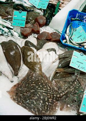 Wet fish on slab in French supermarket - Stock Photo