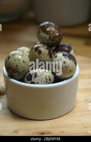 A dozen quails' eggs piled high in small ceramic white pot on wooden boards - Stock Photo