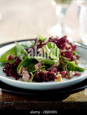 MIxed salad of various leaves including lollo rosso, lambs lettuce, radicchio, with lardons and chopped walnuts and hazelnuts with dressing on rustic Stock Photo