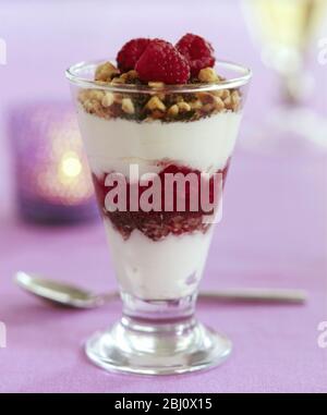 Raspberry sundae with chocolate, nuts and cream - Stock Photo