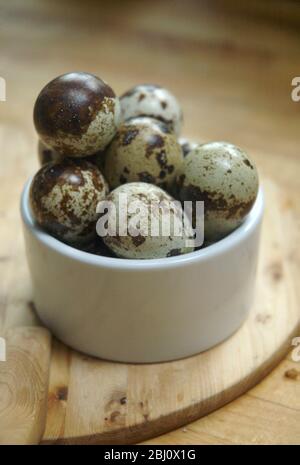 A dozen quails' eggs piled high in small ceramic white pot on wooden boards - Stock Photo