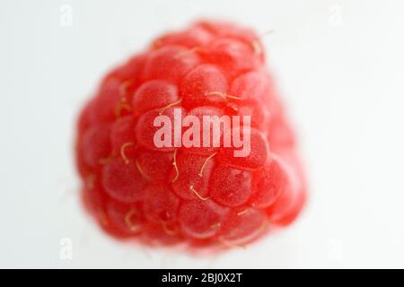 Single fresh raspberry on translucent white surface - Stock Photo