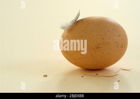 Whole speckled brown egg on natural colour surface with single feather - Stock Photo