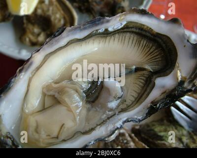 Detail of opened oyster with dishes of oysters in the background at restaurant table - Stock Photo