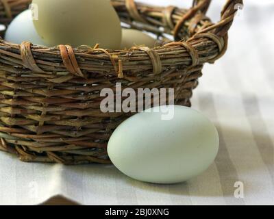 Free range eggs - named varieties - Stock Photo