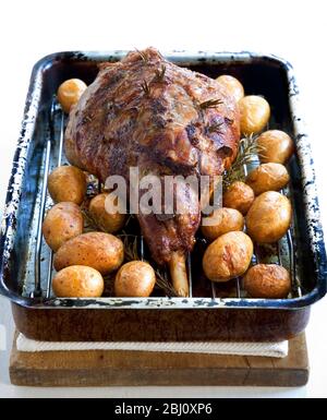 Leg of lamb in roasting tin with roast new potatoes in their skins. - Stock Photo