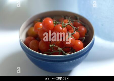 Small cherry tomatoes on the vine in a blue ceramic bowl - Stock Photo