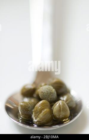 A spoonful of Nonpareille capers - Stock Photo