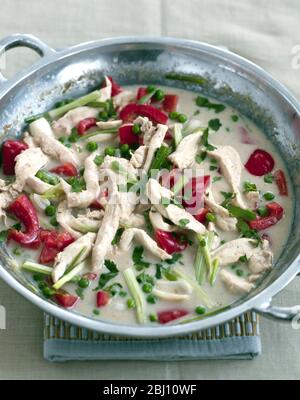 Classic green thai chicken curry in metal dish - Stock Photo
