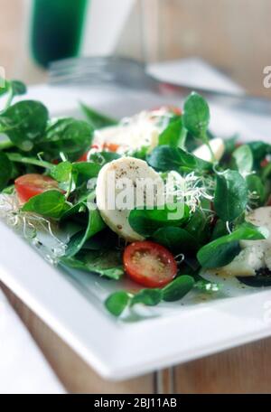 Salad of mozzarella, watercress, cherry tomatoes and grated parmesan - Stock Photo