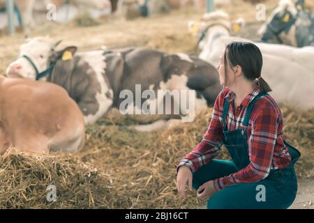 Female farmer on cow dairy farm. Portrait of woman farm worker wearing plaid shirt and bib overalls in cowshed. Stock Photo