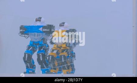 MOSCOW, RUSSIA - July 30, 2018: Robostation - future exhibition. Humanoid robots dancing at technology exhibition. Robotic concept Stock Photo