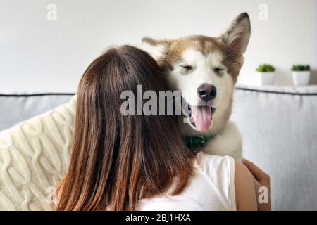 Woman hugging malamute dog in room Stock Photo
