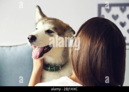 Woman hugging malamute dog in room Stock Photo