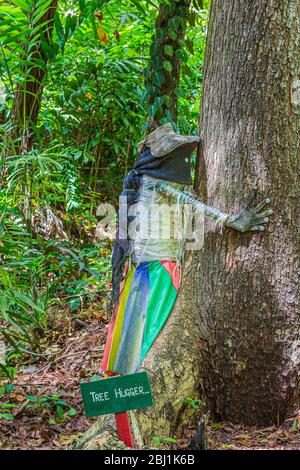 Nausori Highlands, Fiji, January 7, 2020: Tree hugger in the Garden of the Sleeping Giant.