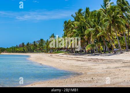 Nalamu Beach, backed by palm trees, under a blue sky, Fiji. Stock Photo