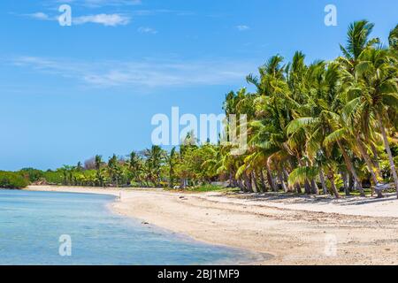 Nalamu Beach, backed by palm trees, under a blue sky, Fiji.