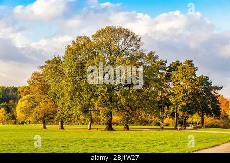 Rosenthal forest park in Leipzig city, Saxony, Germany. Located north of the historic city center, Rosenthal is part of the conservation area of the L Stock Photo