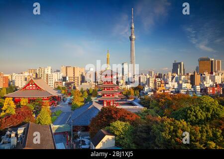 Tokyo. Cityscape image of Tokyo skyline during sunny autumn day in Japan. Stock Photo