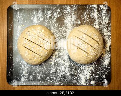 Two slashed rounds of oat bread dough rolled in oats on a floured baking sheet on a kitchen table Stock Photo