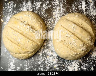 Two proved oat bread loaves ready for baking on a floured baking sheet Stock Photo