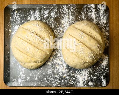 Two proved oat bread loaves ready for baking on a floured baking sheet Stock Photo