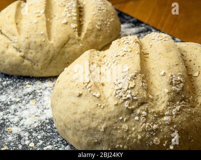 Two proved oat bread loaves ready for baking on a floured baking sheet Stock Photo
