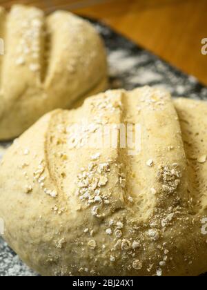 Two proved oat bread loaves ready for baking on a floured baking sheet Stock Photo
