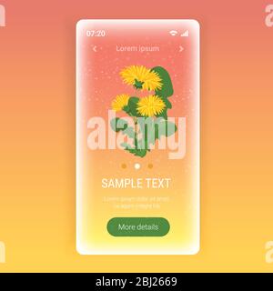 yellow dandelion flowers with green leaves spring season template floral greeting card smartphone screen mobile app copy space vector illustration Stock Vector