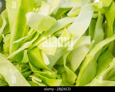 Washed fresh pointed cabbage slices Stock Photo