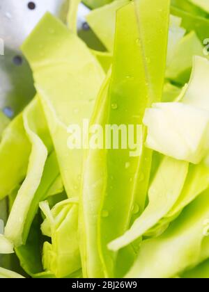 Washed fresh pointed cabbage slices in a stainless steel colander Stock Photo