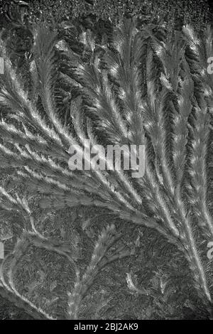Ice Patterns on glass Stock Photo