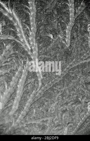 Ice Patterns on glass Stock Photo