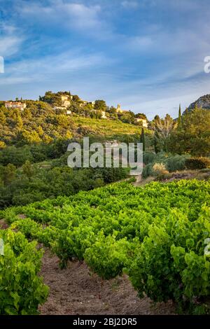 Sunrise over vineyards and village of Suzette in the Dentelles de Montmirail, Provence, France Stock Photo
