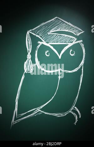 Owl in bachelor hat drawing on blackboard background Stock Photo
