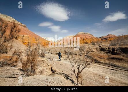 Tourist with backpack and camera walking at the dusty canyon on surreal red mountains against blue sky in the desert Stock Photo