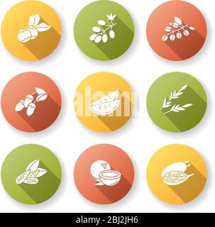 Hair oil ingredients flat design long shadow glyph icons set. Jojoba essence for nourishment. Coconut and almond. Herbal cosmetic product for natural Stock Vector
