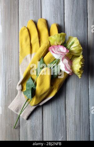 Yellow gardener's gloves and sensitive blossom on grey wooden background Stock Photo