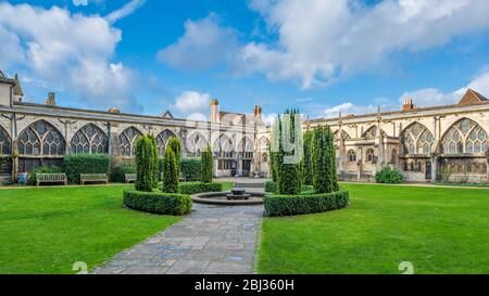 Gloucester Cathedral cloister garden. Stock Photo