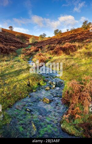 Winter stream on the Sugar loaf in the Black Mountains of South Wales. Stock Photo