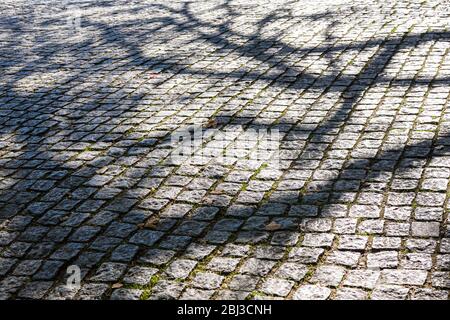 Shadows on geometric tiles form shapes and patterns of a tree on paving stones in Sintra, Portugal Stock Photo